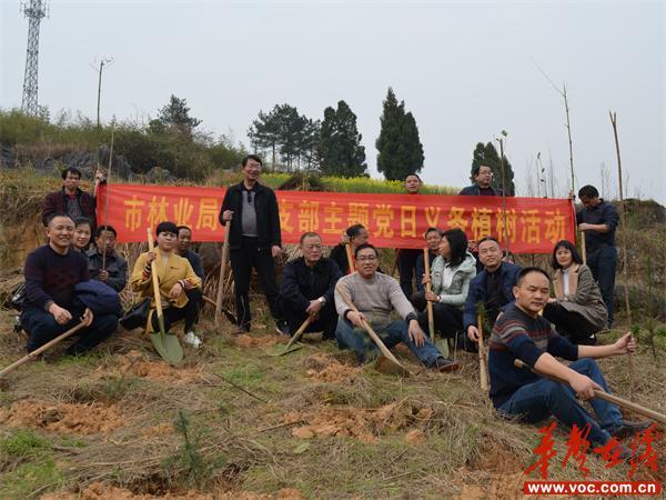 武岡市住房和城鄉(xiāng)建設(shè)局最新項(xiàng)目，推動(dòng)城市更新，提升民生福祉，武岡市住建局新項(xiàng)目推動(dòng)城市更新，提升民生福祉