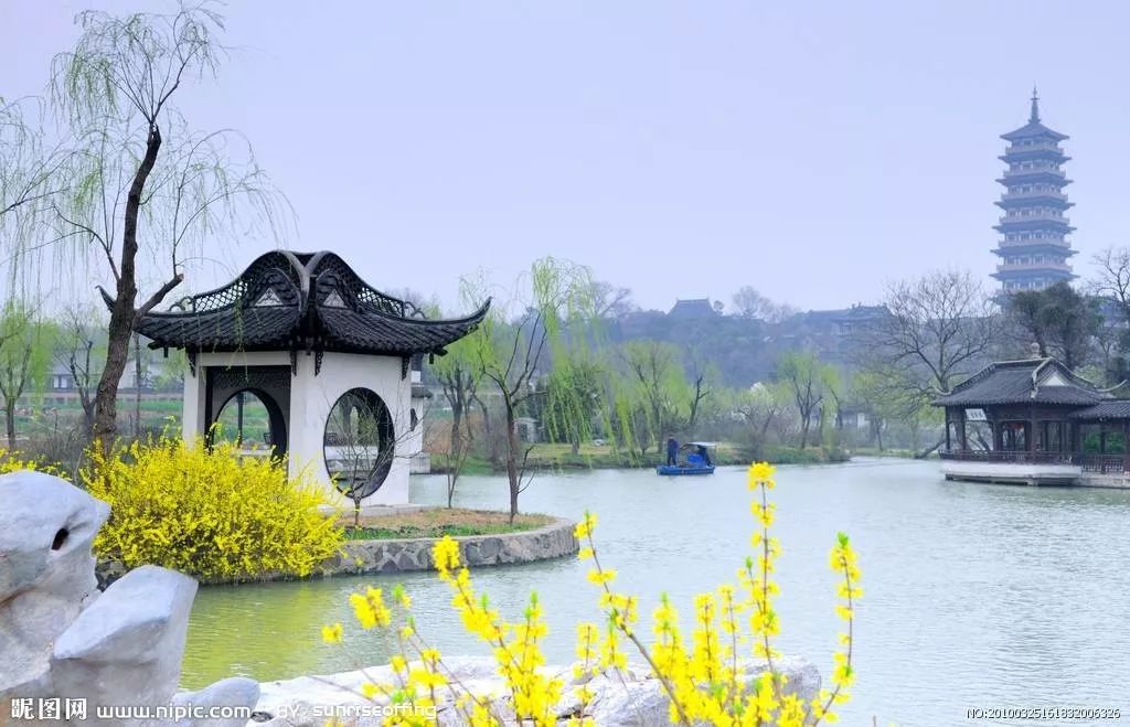 西湖景區(qū)街道最新項目，重塑與再生的城市魅力，西湖景區(qū)街道重塑與再生，城市魅力的新生之旅