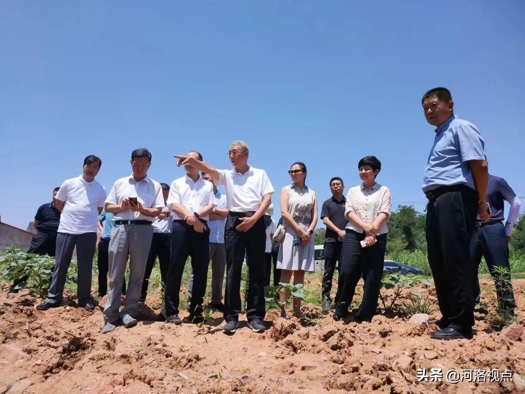 洛陽(yáng)市水利局最新人事任命動(dòng)態(tài)，洛陽(yáng)市水利局人事任命最新動(dòng)態(tài)
