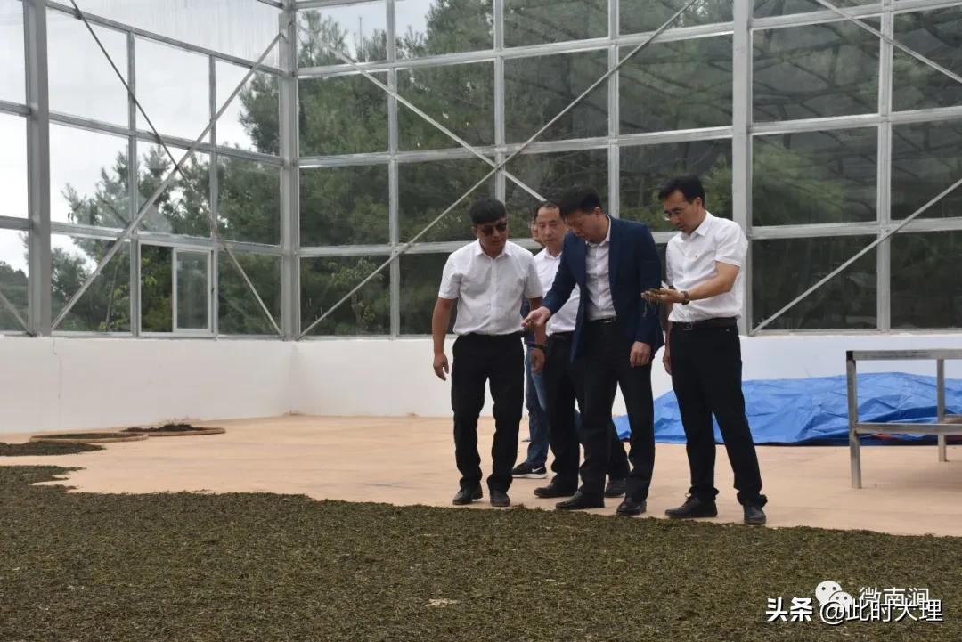 亞巴村最新項(xiàng)目，探索與期待，亞巴村新項(xiàng)目探索與期待之旅