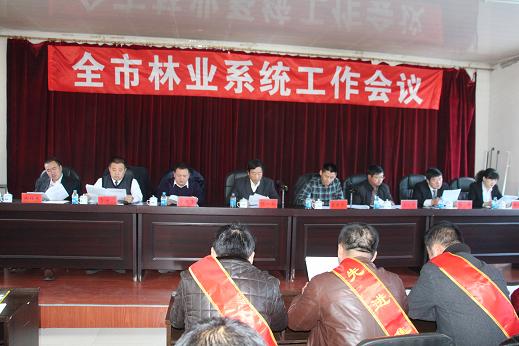 扎蘭屯市林業(yè)局最新新聞，扎蘭屯市林業(yè)局最新動態(tài)報道