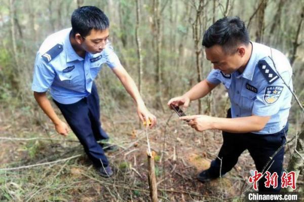 朱家山村委會最新新聞一覽，朱家山村委會最新動態(tài)概覽