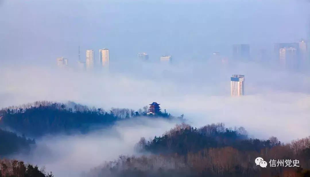 信州區(qū)衛(wèi)生健康局最新領(lǐng)導(dǎo)團(tuán)隊(duì)及其展望，信州區(qū)衛(wèi)生健康局領(lǐng)導(dǎo)團(tuán)隊(duì)全新亮相，未來展望與發(fā)展方向