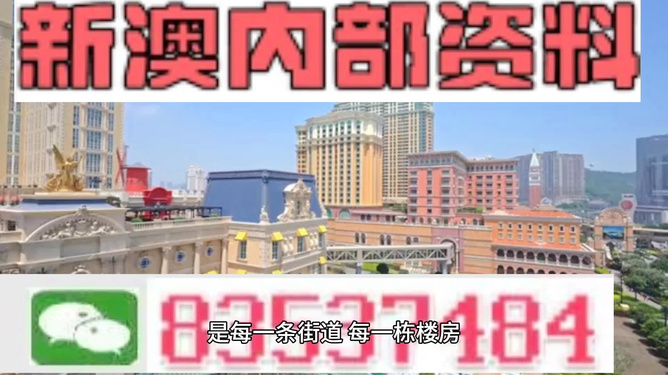 新澳門最精準(zhǔn)正最精準(zhǔn)龍門——探索澳門的魅力與機(jī)遇，澳門魅力與機(jī)遇探索，新澳門最精準(zhǔn)龍門