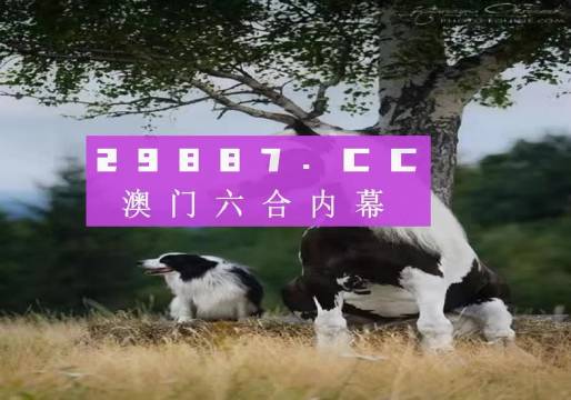 王中王四不象一肖平特圖，深度解析與SEO優(yōu)化策略，王中王四不象一肖平特圖，深度解析及SEO優(yōu)化策略探討