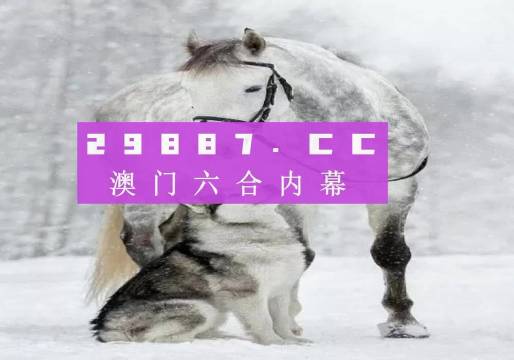 新奧門一肖一馬必中——揭秘彩票背后的秘密與策略，揭秘彩票背后的秘密與策略，新奧門一肖一馬必中技巧探究
