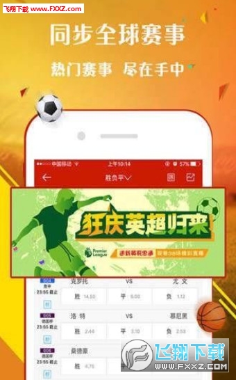 王中王一肖，探尋背后的故事與榮耀（2019年），王中王一肖背后的故事與榮耀揭秘（2019年）