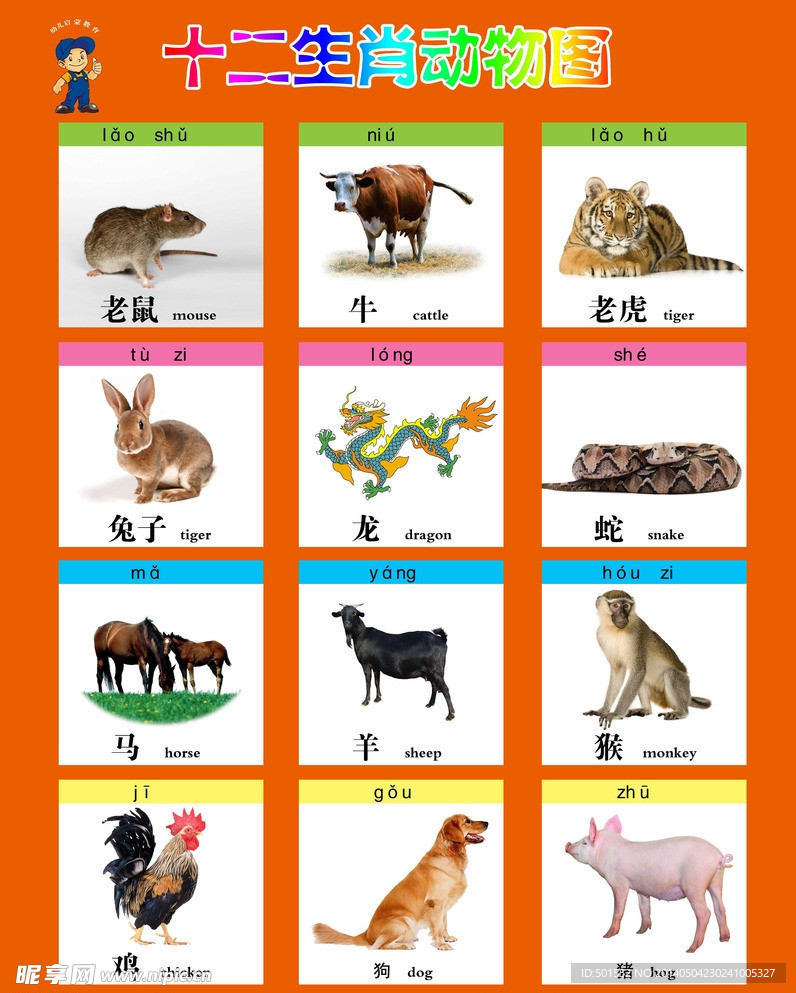 揭秘生肖奧秘，揭秘王中王之十二生肖動物圖之王——20一肖動物圖解析，揭秘生肖奧秘，十二生肖動物圖之王——全面解析20一肖動物圖