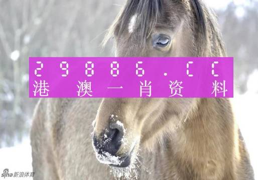 澳門一肖一碼背后的故事，揭秘精準(zhǔn)預(yù)測背后的秘密，澳門一肖一碼揭秘，精準(zhǔn)預(yù)測背后的神秘故事