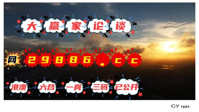 王中王肖一碼資料解析與SEO優(yōu)化策略，王中王肖一碼資料解析與SEO優(yōu)化策略詳解