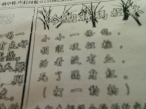 劉伯溫平特一肖四不像，傳奇人物與神秘預言的解讀，劉伯溫平特一肖四不像，傳奇人物背后的預言與神秘解讀