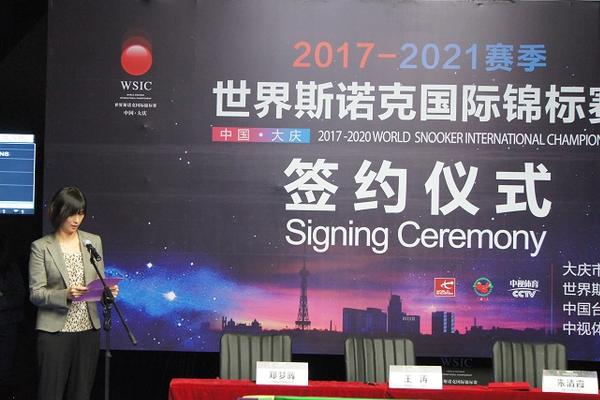 王中王一肖一特一中，探尋背后的故事與奧秘，探尋王中王一肖一特一中背后的故事與奧秘