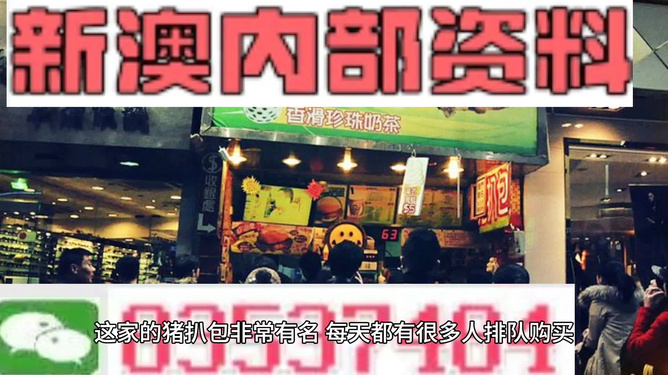 新奧天天精準(zhǔn)資料大全，全方位解讀與應(yīng)用指南，新奧天天精準(zhǔn)資料大全，全方位解讀與應(yīng)用指南手冊(cè)