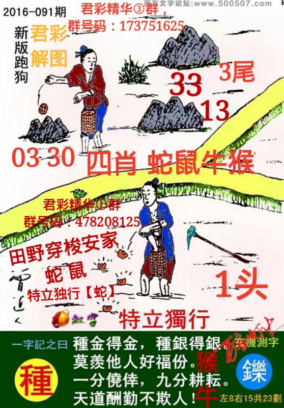 今期澳門老版正版跑狗圖，深度解析與探索，澳門老版正版跑狗圖深度解析與探索揭秘