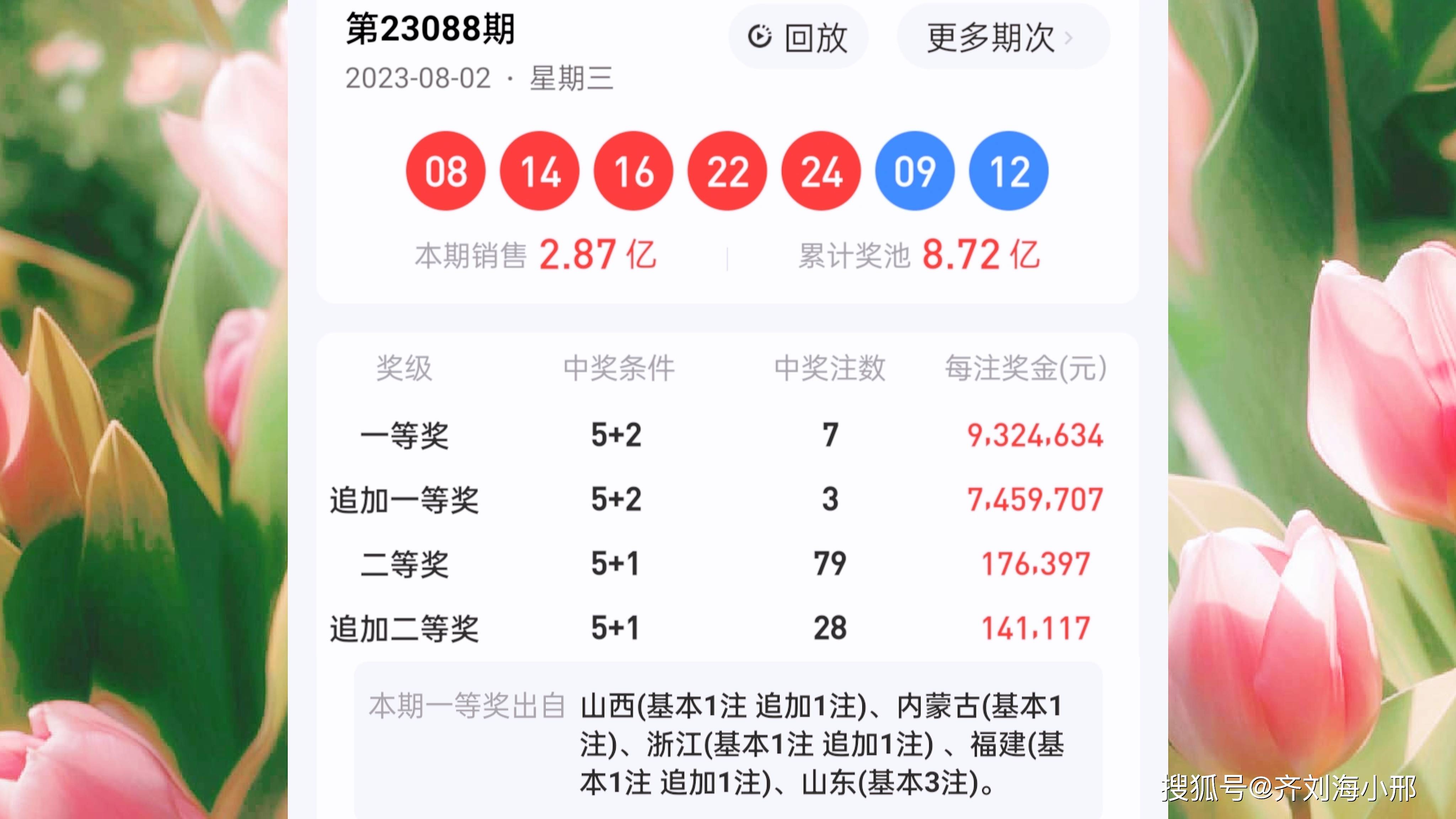 王中王一肖一中今晚開獎號——深度解析彩票背后的秘密，彩票背后的秘密，王中王一肖今晚開獎號碼深度解析