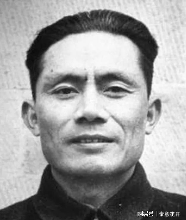 王中王平肖一特，聚焦關(guān)鍵詞，深度解析背后的故事，深度解析王中王平肖一特背后的故事與關(guān)鍵詞聚焦