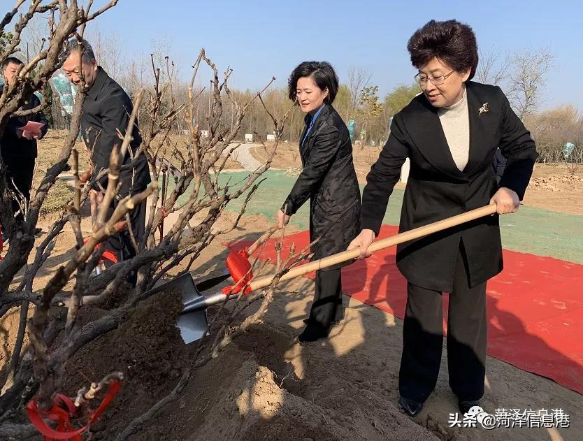 揭秘129期王中王報(bào)一肖的神秘面紗，揭秘王中王報(bào)一肖的神秘面紗，揭秘真相與內(nèi)幕解析