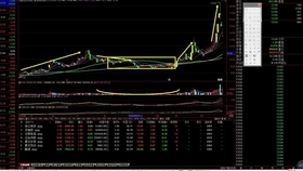 一肖平碼王中王，揭秘彩票背后的秘密與策略，揭秘彩票背后的秘密與策略，一肖平碼王中王解析