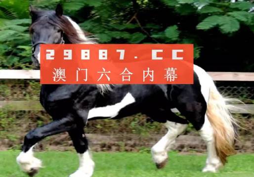 一肖一馬王中王一馬中特，深度解析與SEO優(yōu)化策略，一肖一馬王中王深度解析與SEO優(yōu)化策略探討