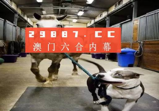 澳門一肖一碼一必中一肖同舟前進(jìn)——揭秘彩票背后的秘密與策略，澳門彩票揭秘，一肖一碼必中策略與同舟共濟(jì)的前進(jìn)之路