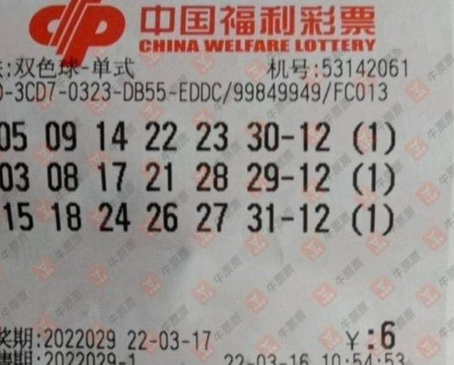 揭秘029期王中王平特一肖，背后的故事與秘密，揭秘，王中王平特一肖背后的故事與秘密（第029期）