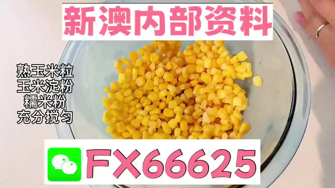 新澳一碼料，深度解析與SEO優(yōu)化策略，新澳一碼料深度解析與SEO優(yōu)化策略指南