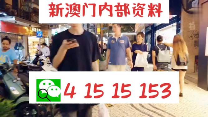 新澳門精準24個碼，探索與解析，新澳門精準24個碼深度解析與探索