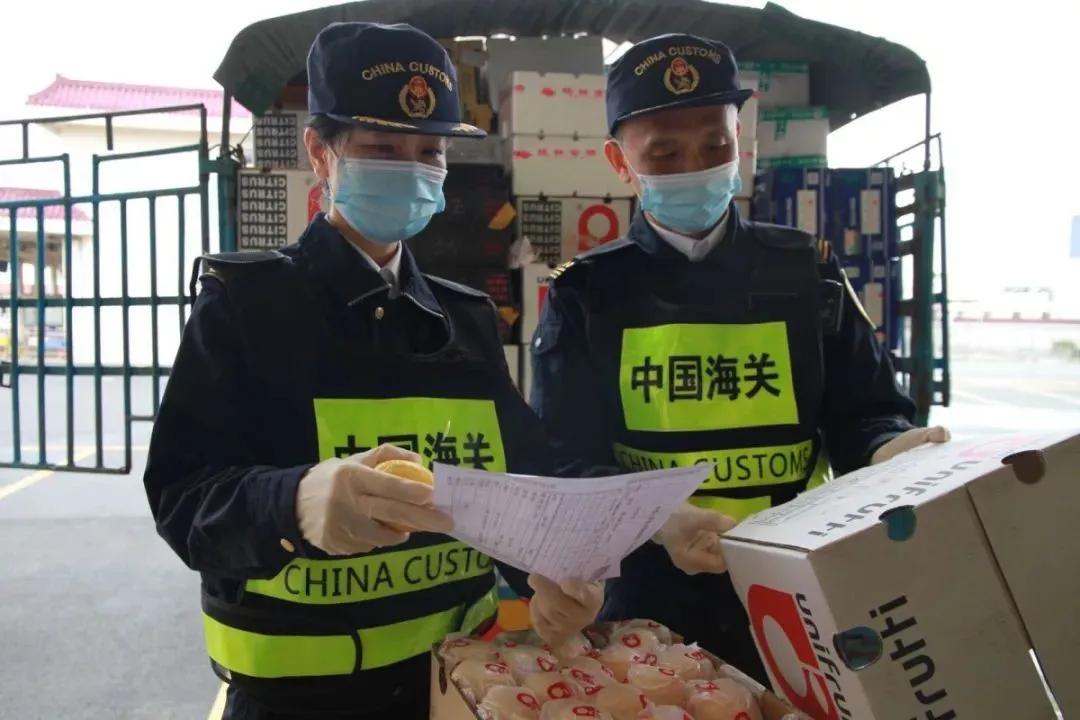 澳門彩票開獎結(jié)果快速揭曉，探索最新開獎動態(tài)與策略分析，澳門彩票最新開獎結(jié)果及策略分析