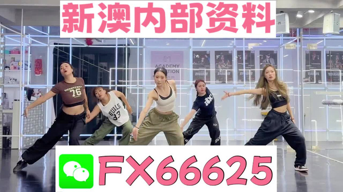 王中王一肖一嗎期期中，深度解析與探索，王中王一肖一，深度解析與探索期中的奧秘