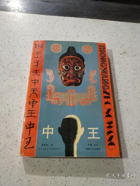 王中王資料一門肖中，深度解析與探索，王中王資料一門肖詳解，深度解析與探索