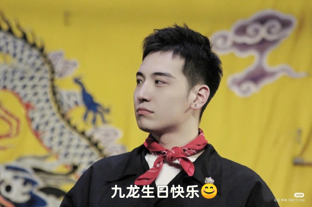 王中王九龍心水一肖一嗎——深度解析，王中王九龍心水一肖深度解析