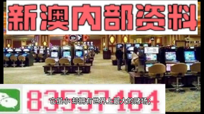 新澳門最精準(zhǔn)——探索澳門的精準(zhǔn)旅游魅力，澳門精準(zhǔn)旅游魅力探索之旅